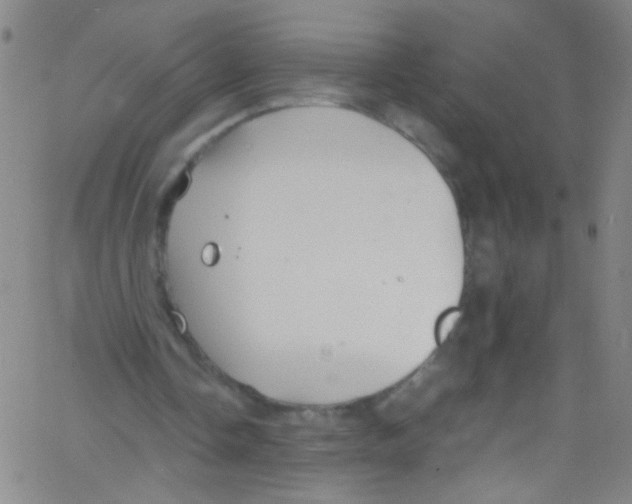 X0000067400338200604281913