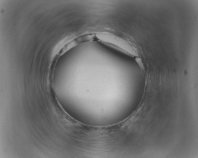 X0000067400340200604281913