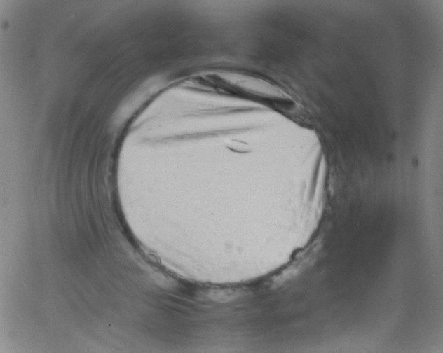 X0000067400341200604281913