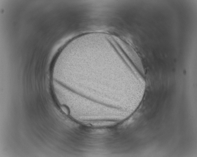 X0000067400342200604281913