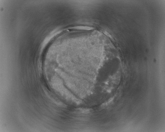 X0000067400343200604281913