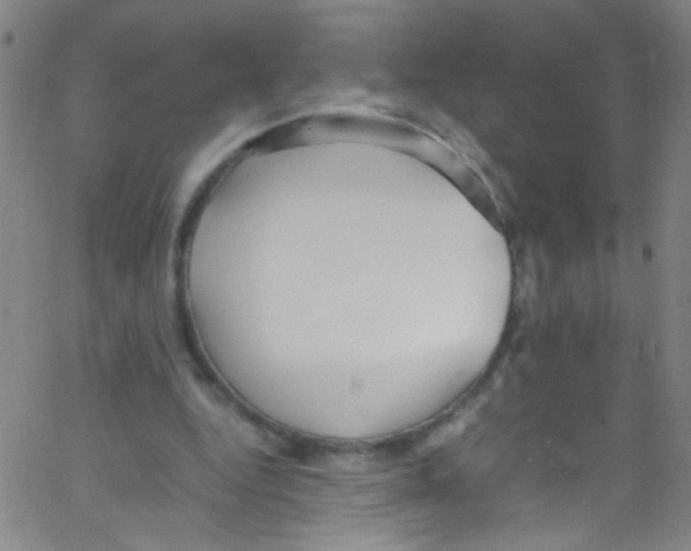 X0000067400344200604281913