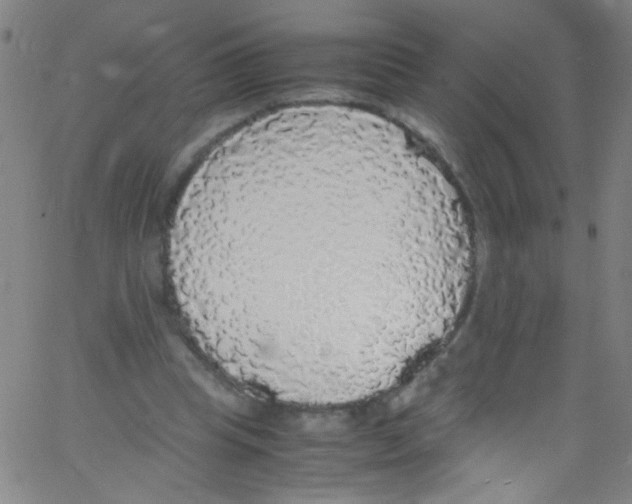 X0000067400345200604281913