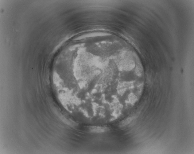 X0000067400347200604281913