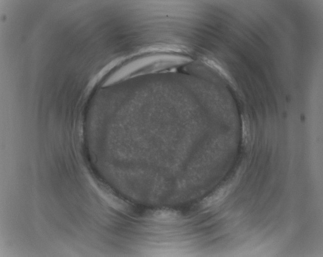 X0000067400348200604281913