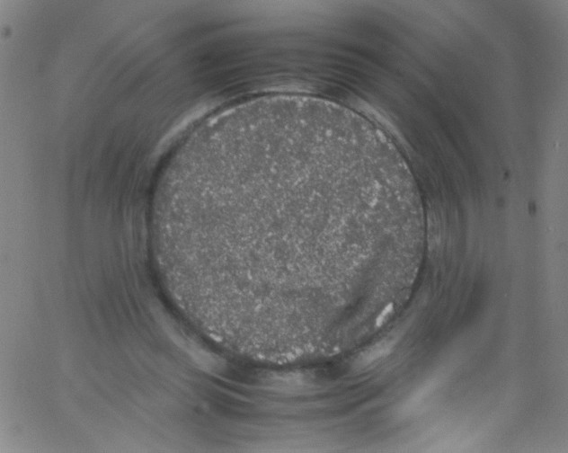 X0000067400349200604281913