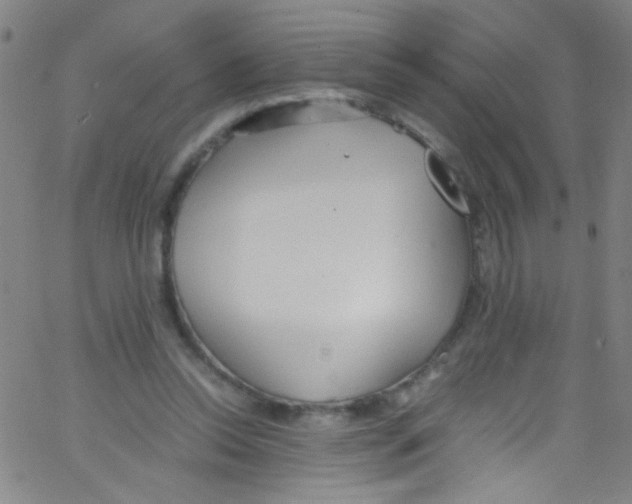 X0000067400350200604281913