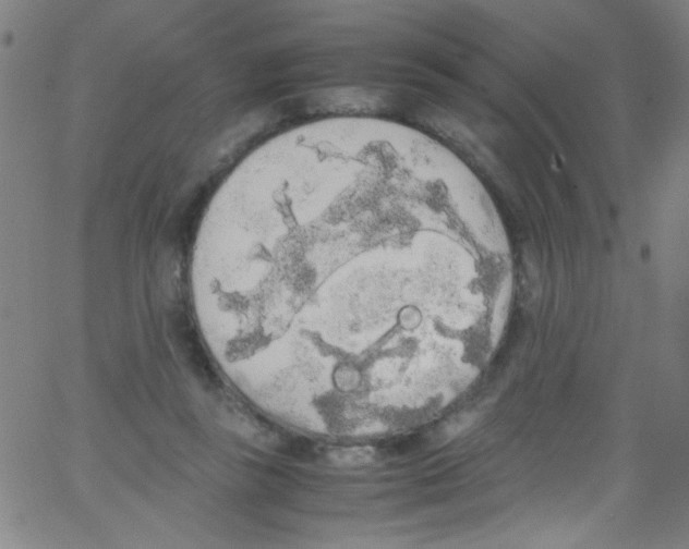 X0000067400355200604281913