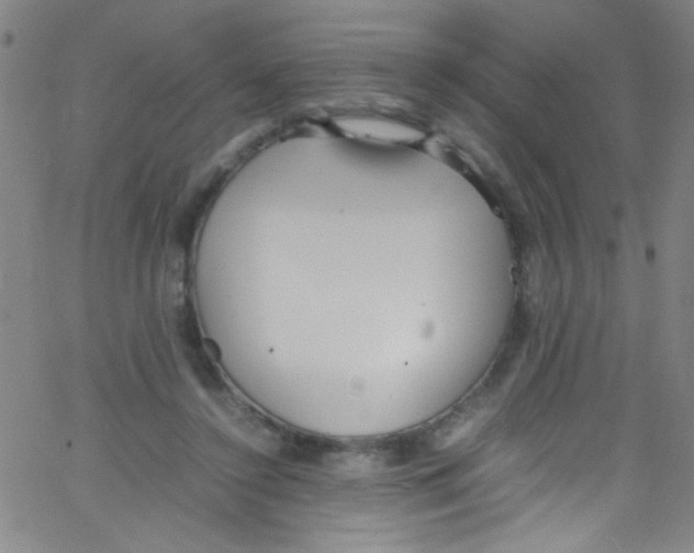 X0000067400356200604281913