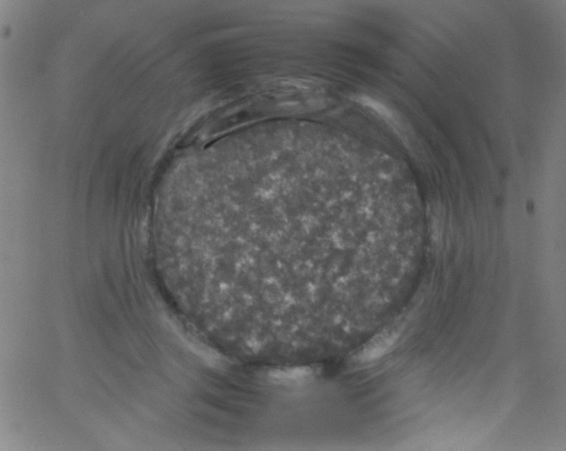 X0000067400357200604281913