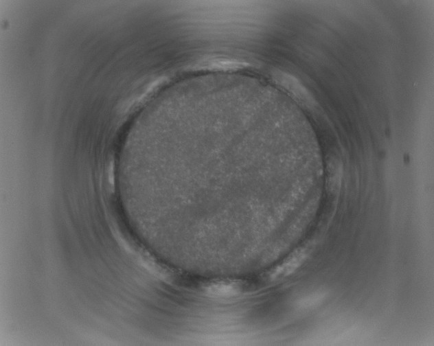 X0000067400358200604281913