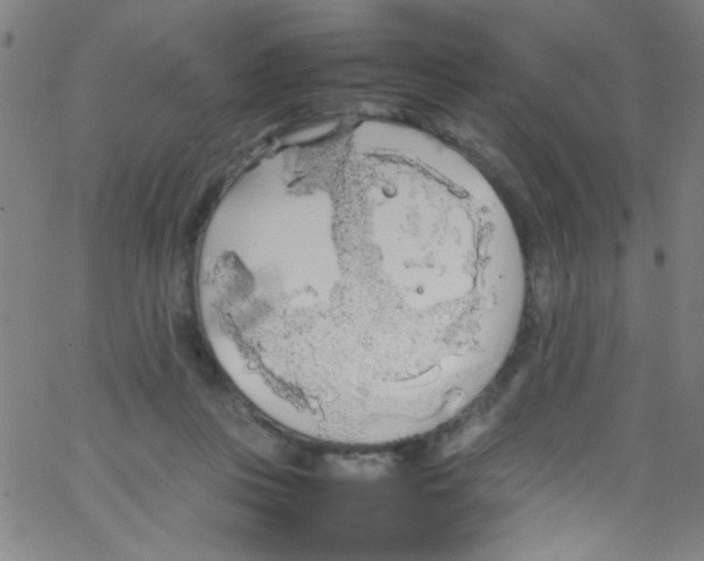 X0000067400359200604281913