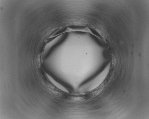 X0000067400360200604281913