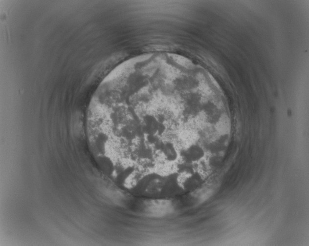 X0000067400361200604281913