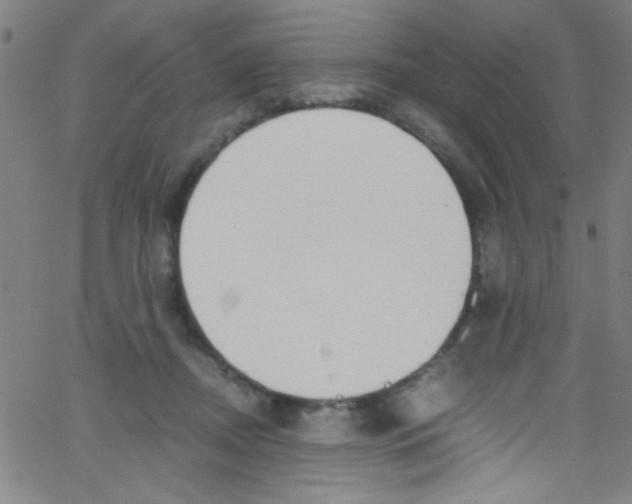 X0000067400362200604281913