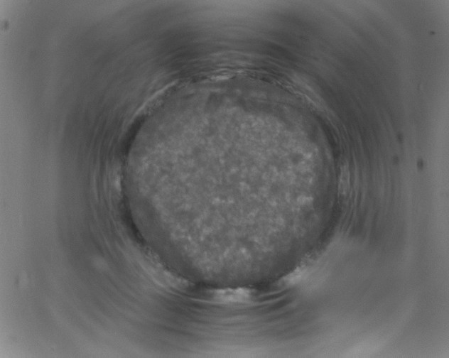 X0000067400363200604281913