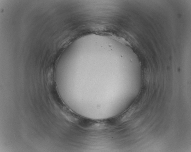 X0000067400364200604281913