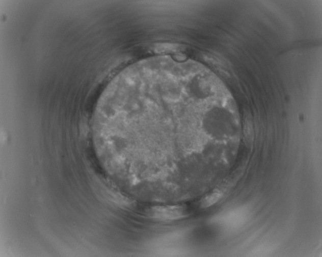 X0000067400367200604281914