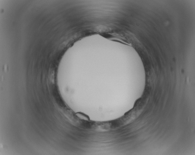 X0000067400368200604281914