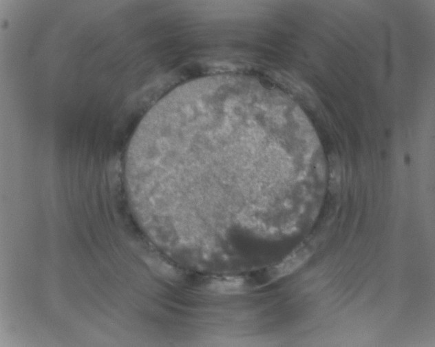 X0000067400369200604281914