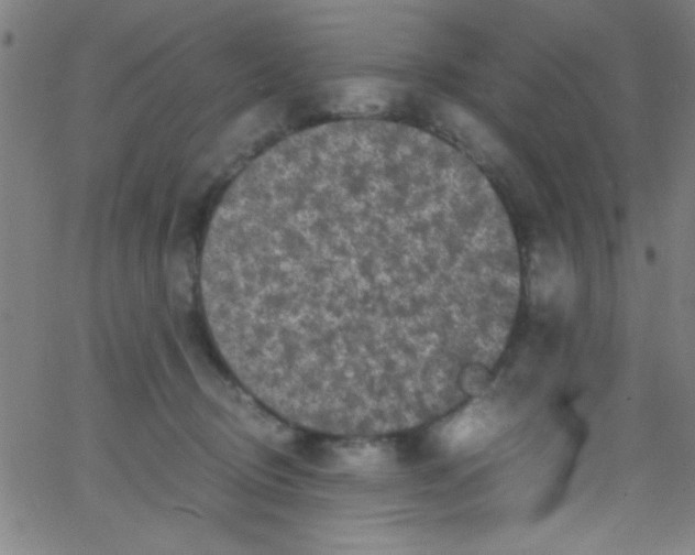 X0000067400370200604281914