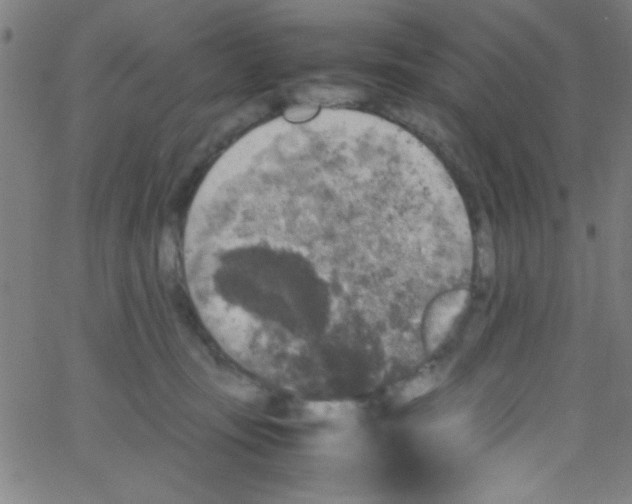 X0000067400371200604281914