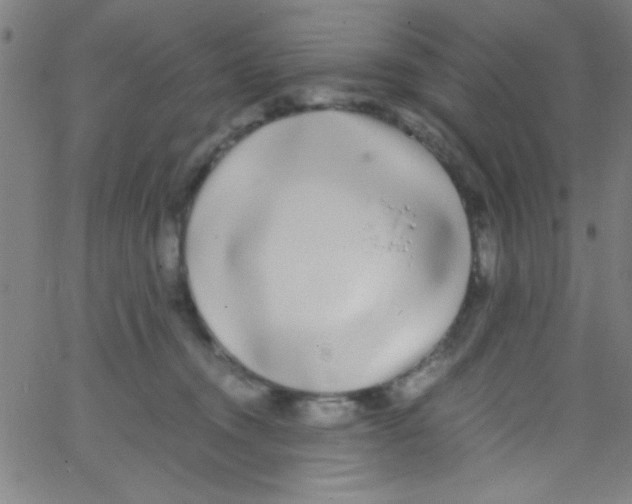 X0000067400372200604281914