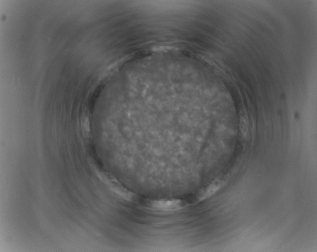 X0000067400375200604281914