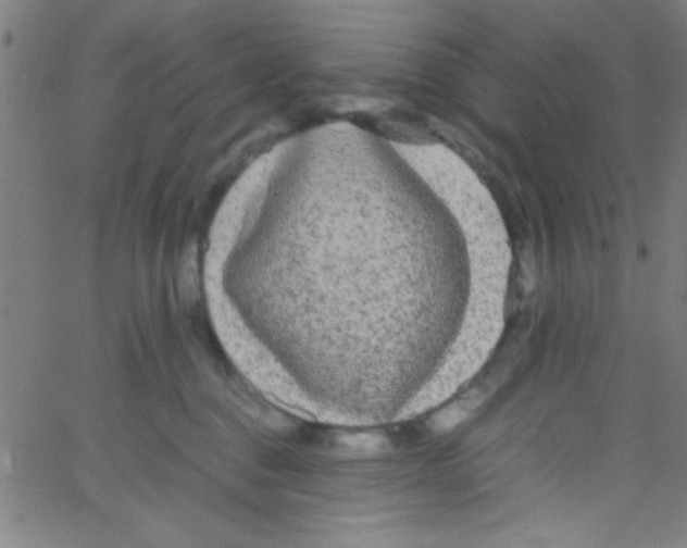 X0000067400376200604281914