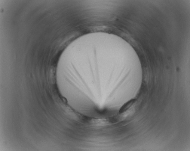 X0000067400378200604281914