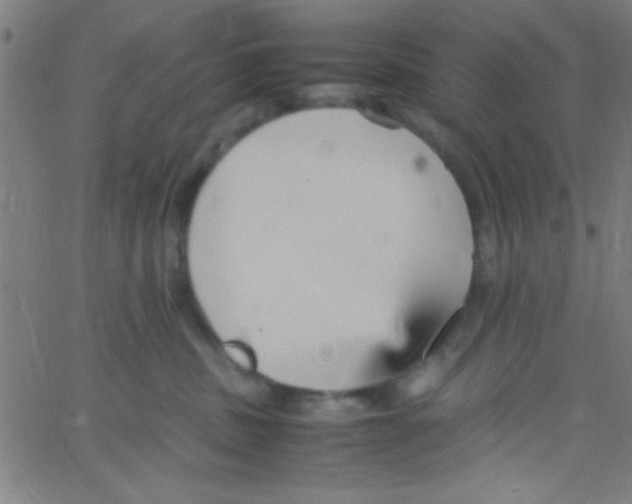 X0000067400379200604281914