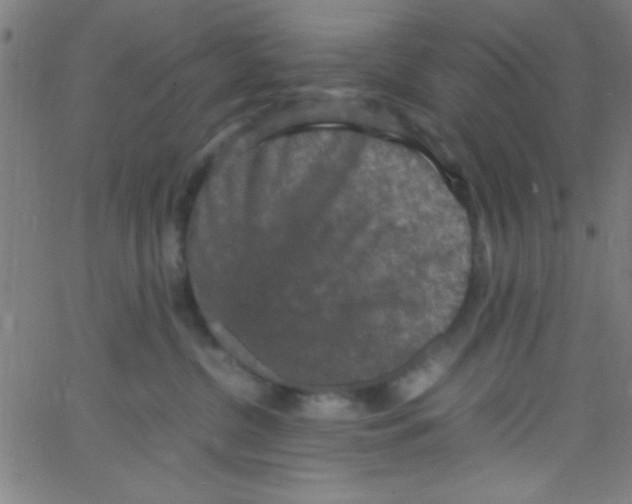 X0000067400380200604281914