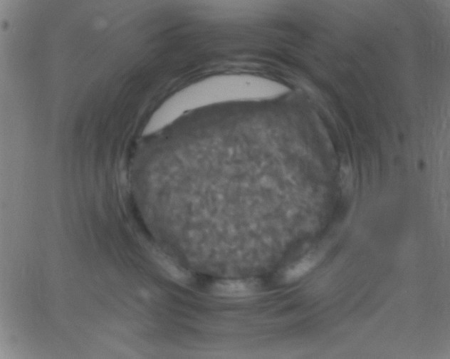 X0000067400381200604281914