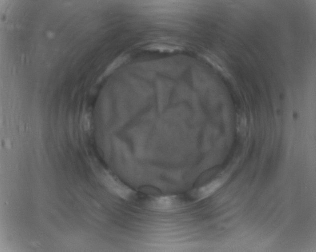 X0000067400382200604281914