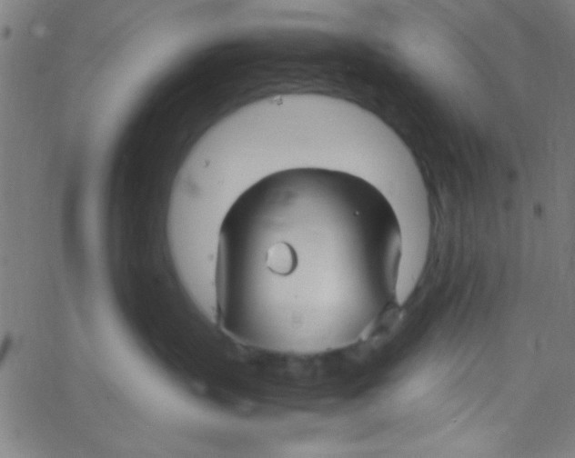 X0000067400383200604281914