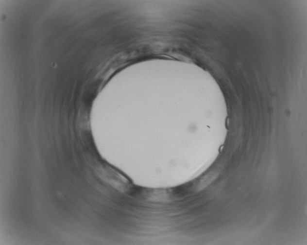 X0000067400384200604281914