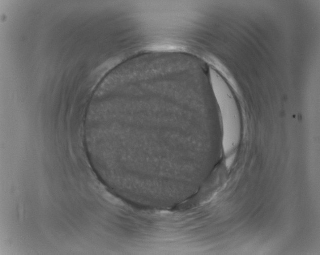 X0000067400385200604281913