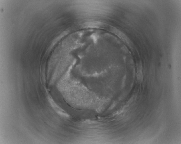 X0000067400386200604281913