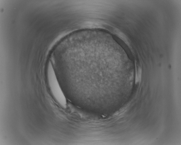 X0000067400387200604281913