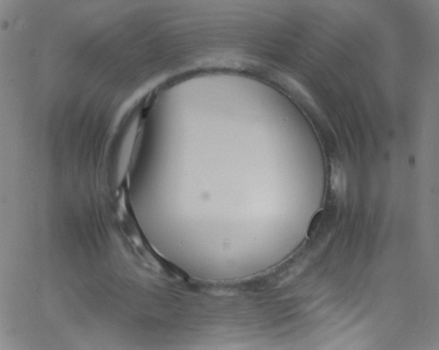 X0000067400388200604281913