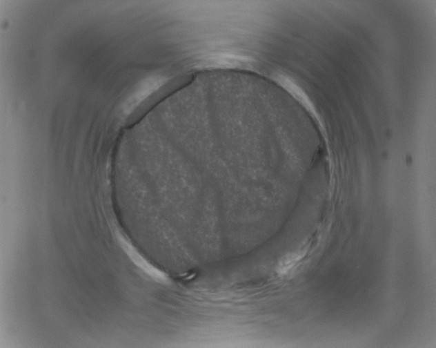 X0000067400389200604281913