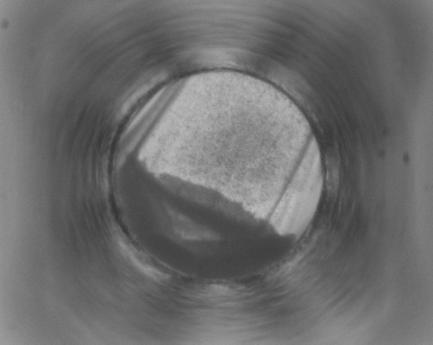 X0000067400390200604281913