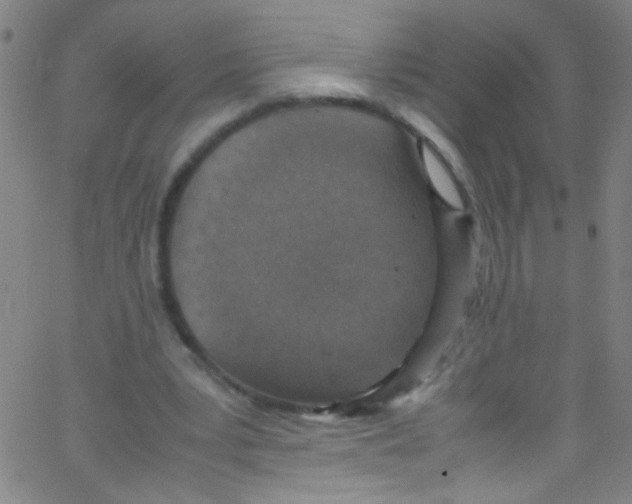 X0000067400391200604281913