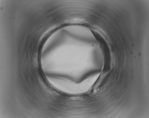 X0000067400392200604281913