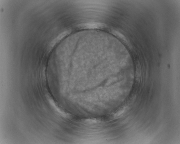 X0000067400394200604281913