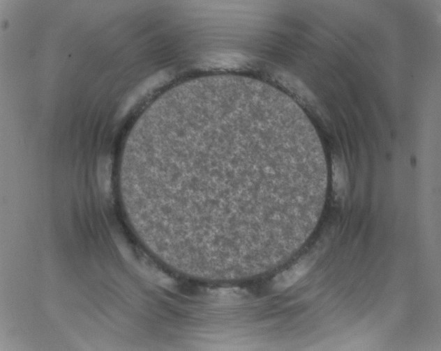 X0000067400396200604281913