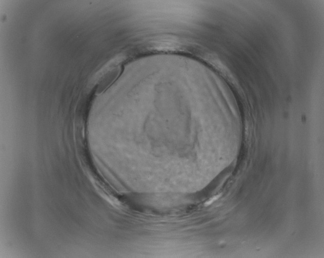 X0000067400397200604281913