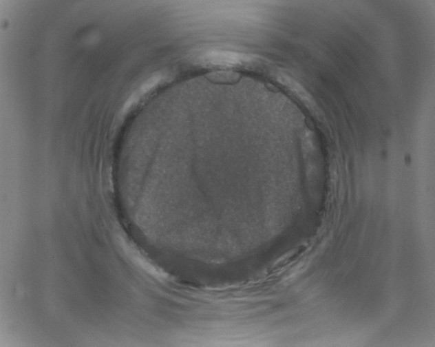 X0000067400399200604281913