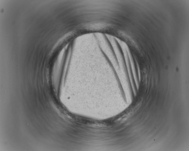 X0000067400400200604281913