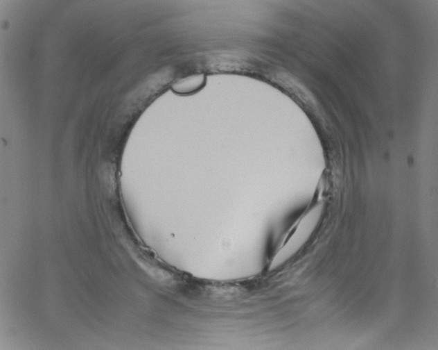 X0000067400401200604281913